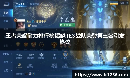 王者荣耀耐力排行榜揭晓TES战队荣登第三名引发热议